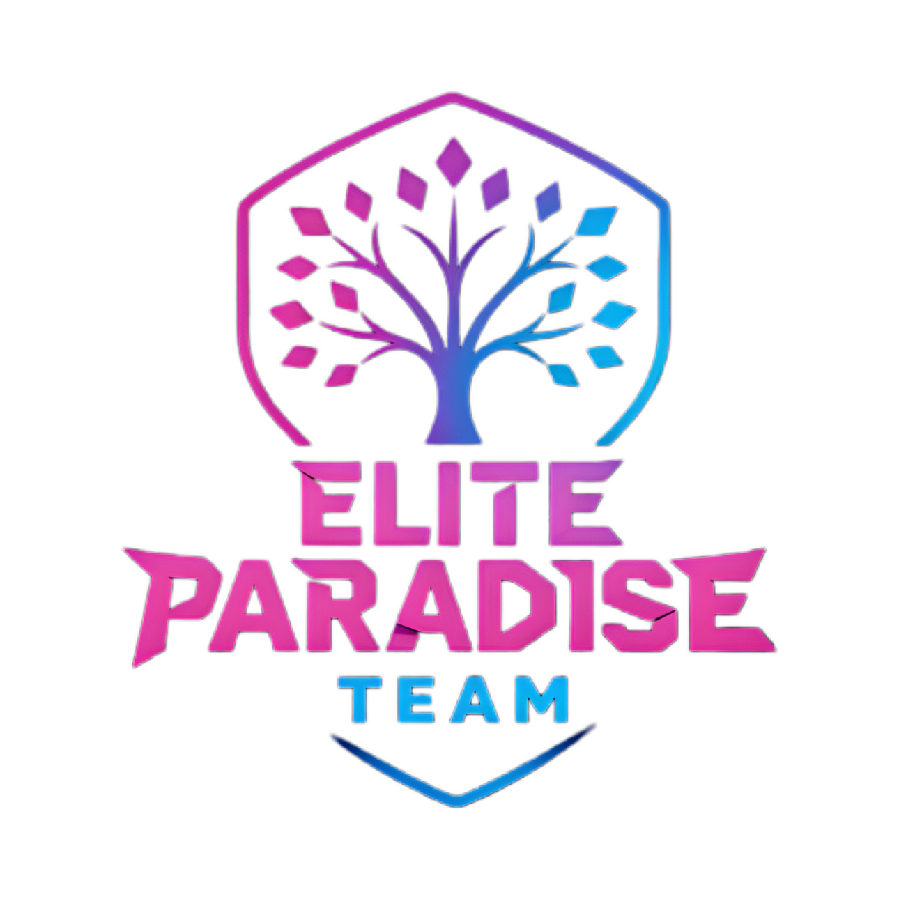 Elite Paradise Team